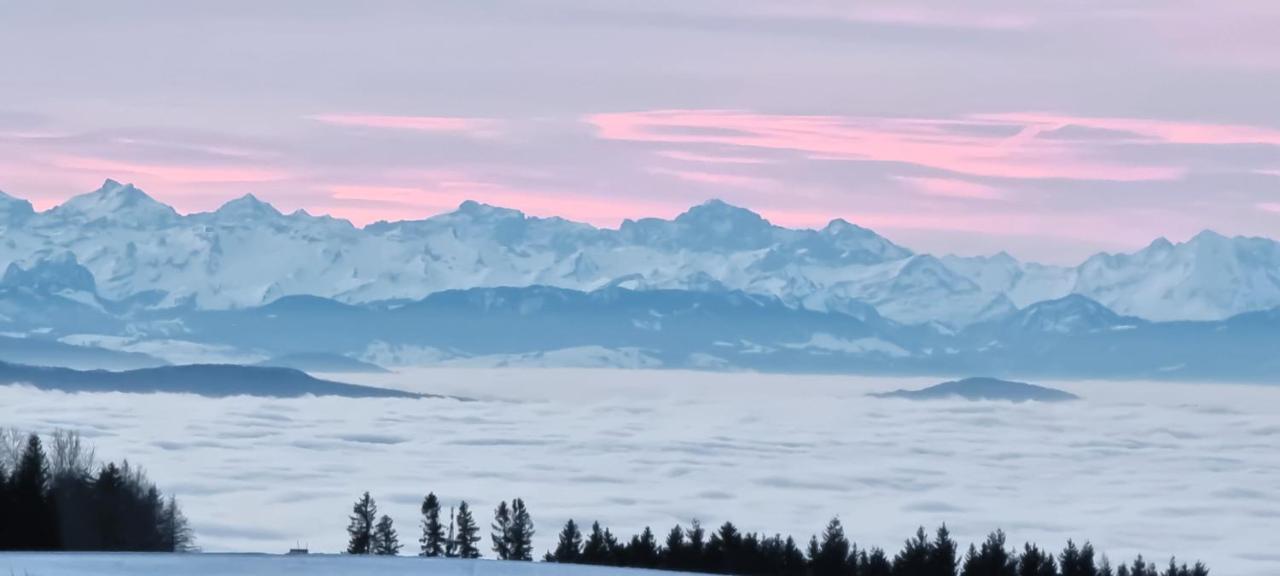 Bio- Und Wellnesshotel Alpenblick Höchenschwand Buitenkant foto