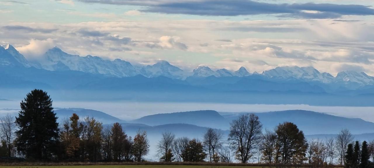 Bio- Und Wellnesshotel Alpenblick Höchenschwand Buitenkant foto
