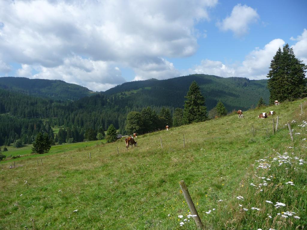 Bio- Und Wellnesshotel Alpenblick Höchenschwand Buitenkant foto