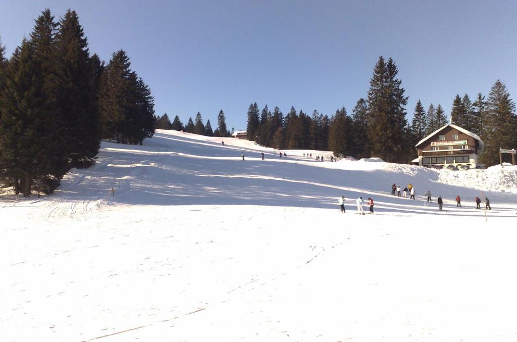 Bio- Und Wellnesshotel Alpenblick Höchenschwand Buitenkant foto