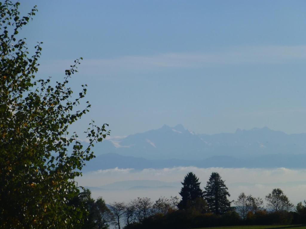 Bio- Und Wellnesshotel Alpenblick Höchenschwand Buitenkant foto
